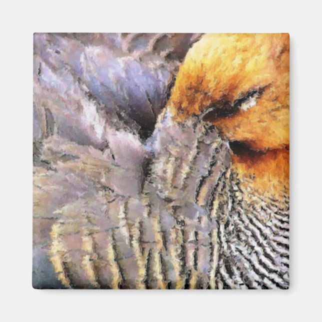 AIMANT DUCKS (Devant)