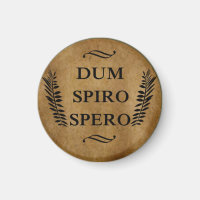 dum spiro spero