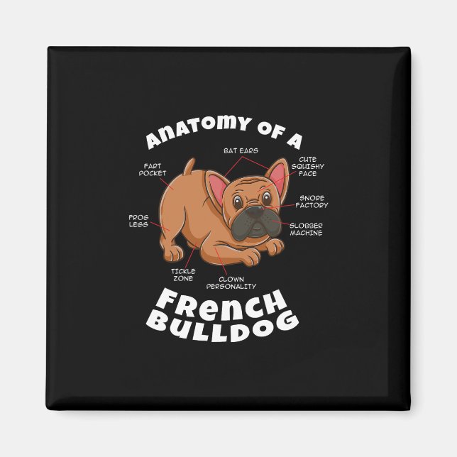 Aimant D'un bouledogue français  (Devant)