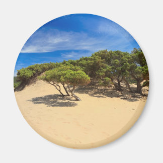 Aimant Dune de Piscinas - Sardaigne, Italie