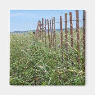 Aimant Dunes de Cape Cod