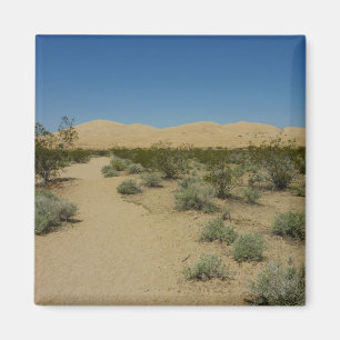 Aimant Dunes de Kelso au Mojave National Park