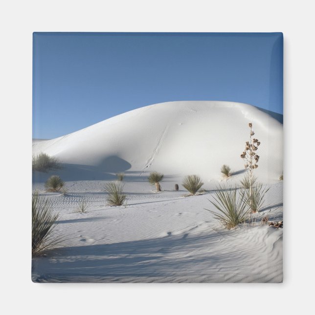 Aimant Dunes transversales et Soaptree Yucca (Devant)