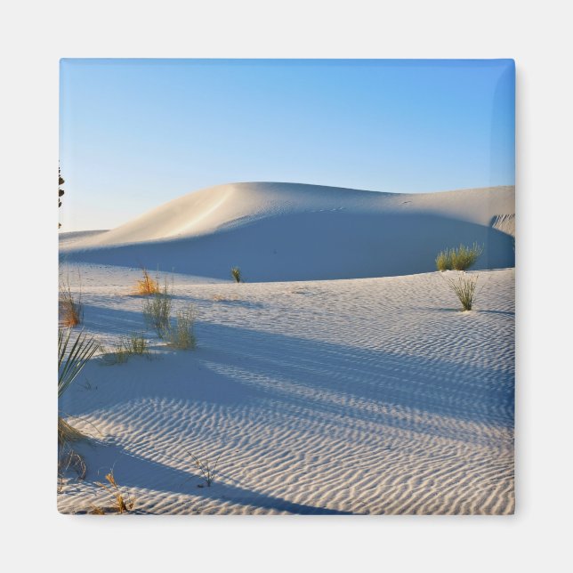 Aimant Dunes transversales, Yucca, Lumière du matin (Devant)