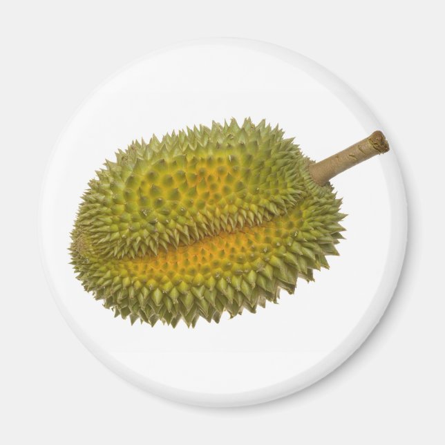 Aimant Durian (Devant)