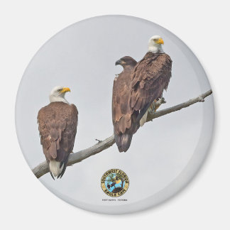 Aimant E23 & Famille - M15, F23 et premier Eaglet