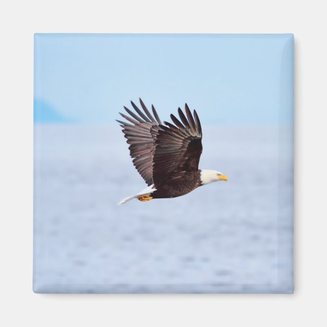 Aimant Eagle (Devant)