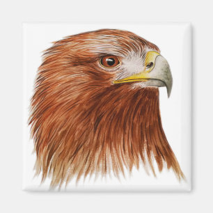 Aimant Eagle d'or 2011