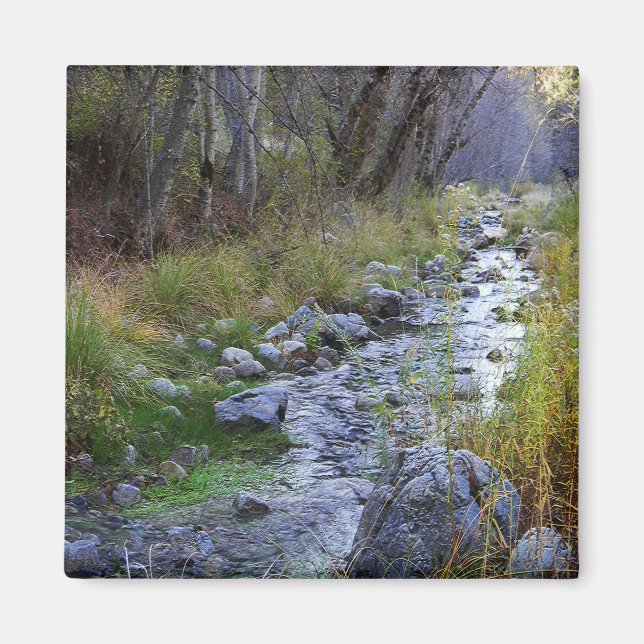 Aimant East Fork/Hayfork creek...... (Devant)