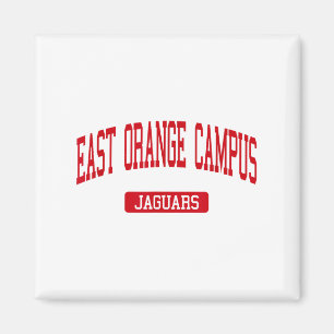Aimant East Orange Campus High School S East Orange Nj V
