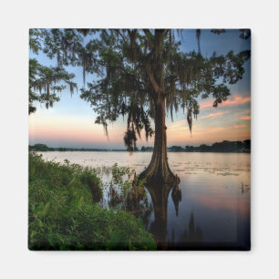 Aimant Eau Kraft Azalea Park Maitland Floride