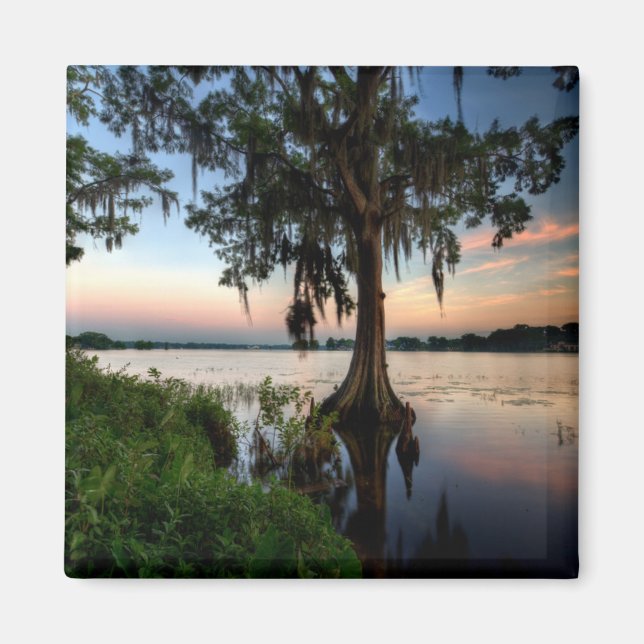 Aimant Eau | Kraft Azalea Park Maitland Floride (Devant)