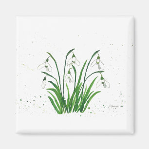 Aimant Eaux de fleurs blanches