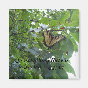 Aimant Ecclesiastes 3:1 À tout il ya une saison