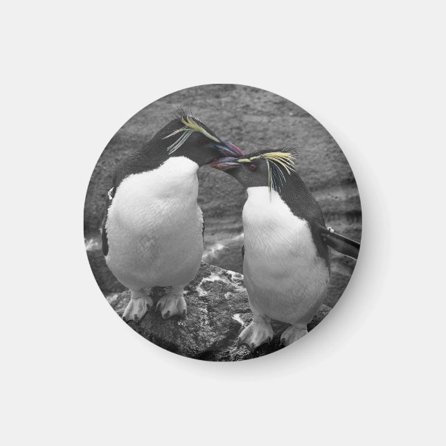 Aimant Éclaboussure de couleur de pingouin (Devant)
