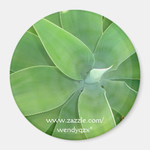 Aimant Éclatement vert