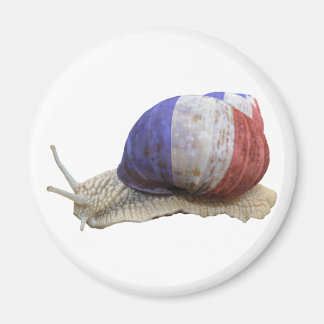Aimant Écluse du drapeau français