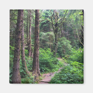 Aimant Ecola State Park, Cannon Beach, Oregon