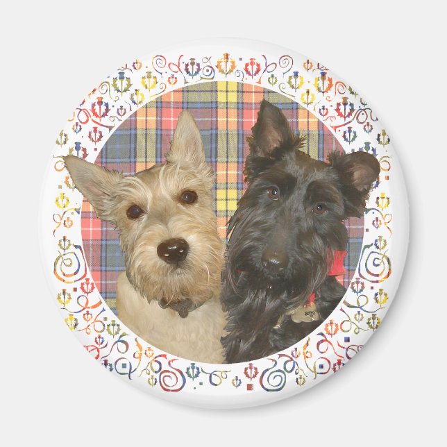 Aimant Ecosse roux et noir sur Tartan (Devant)