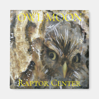 Aimant Écran de l'aimant de hibou