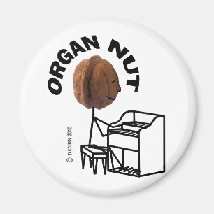 Aimant Écrou d'organe
