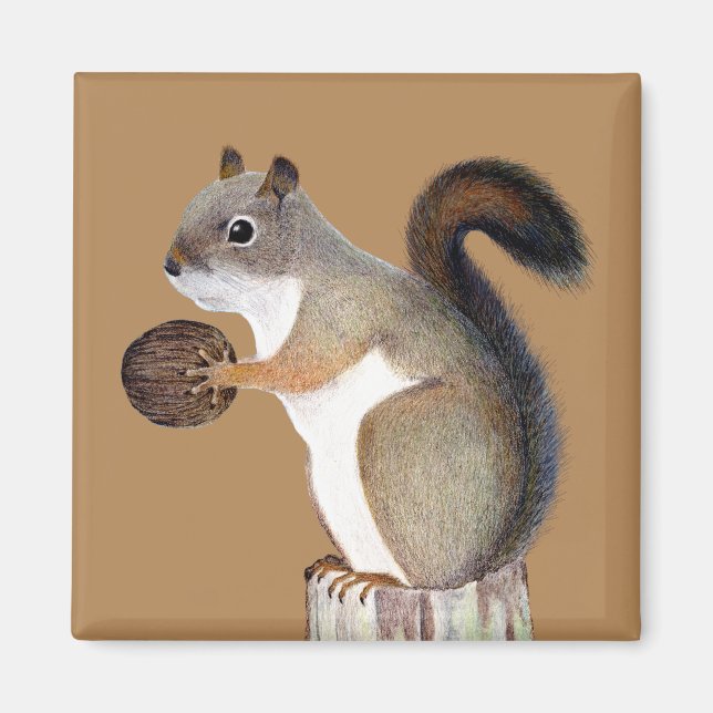 Aimant Écureuil (Devant)