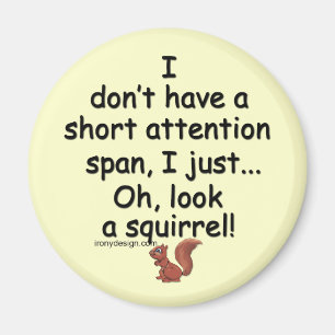 Aimant Écureuil court de durée d'attention