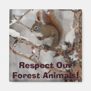Aimant Écureuil d'hiver, neige et baies rouges Conception