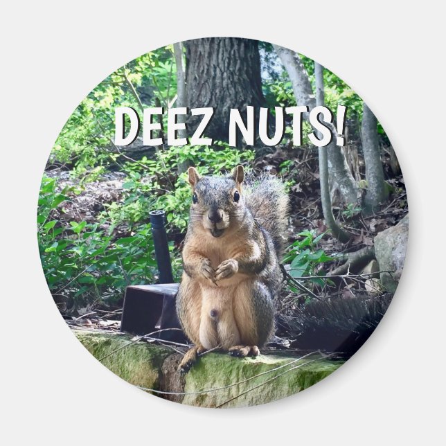 Aimant Écureuil Drôle Deez Nuts Humour Inapproprié Photo (Devant)