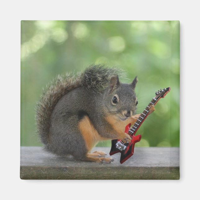 Aimant Écureuil Jouant de la guitare électrique (Devant)