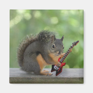 Aimant Écureuil jouant la guitare électrique