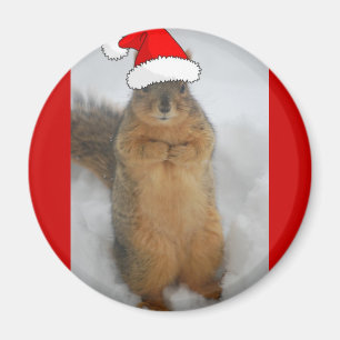 Aimant Écureuils de Noël
