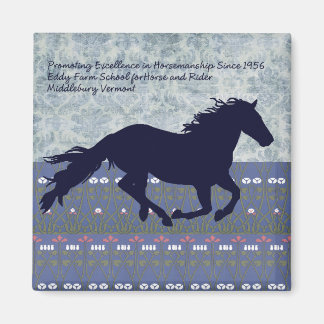 Aimant Eddy Farm School for Horse and Rider