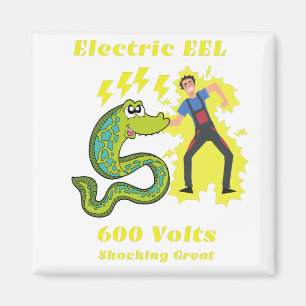 Aimant EEL électrique