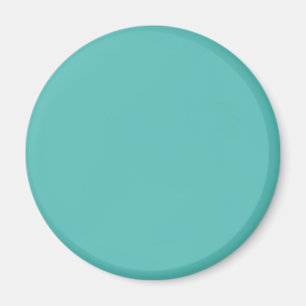 Aimant Eeucalyptus pastel bleu turquoise