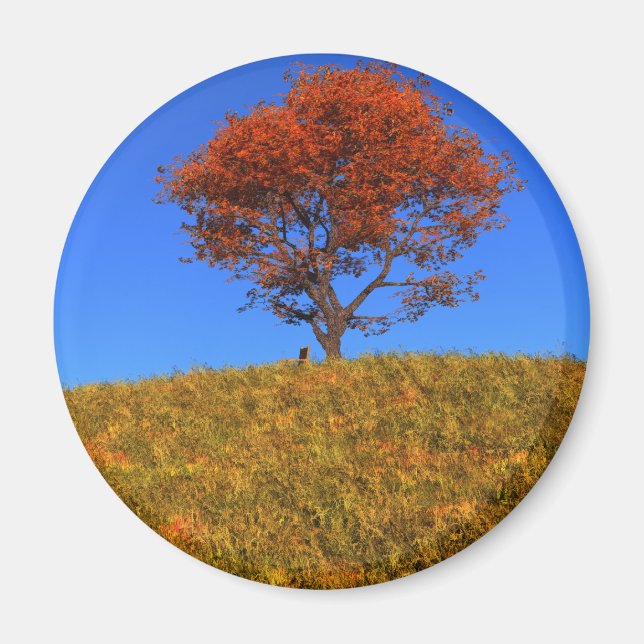 Aimant Effacer l'aimant du jour d'automne (Devant)