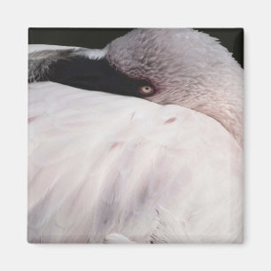 Aimant Effet de dessin de portrait de flamant rose Art