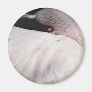 Aimant Effet de dessin de portrait de flamant rose Art