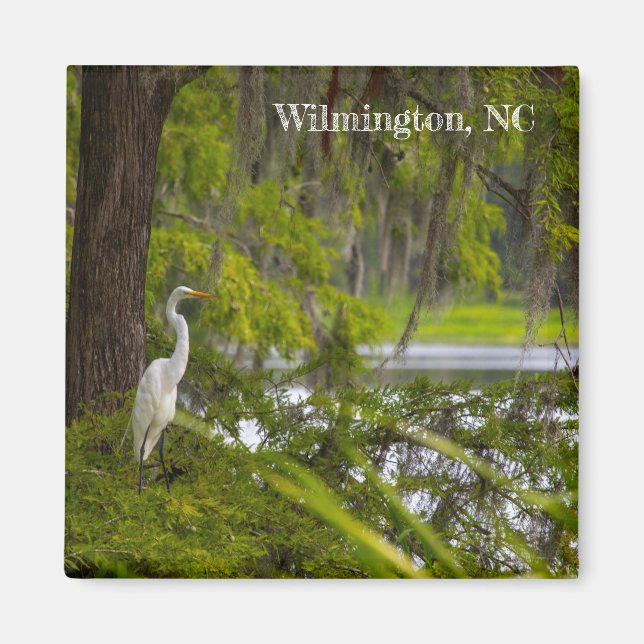 Aimant Egret en Wilmington, NC (Devant)