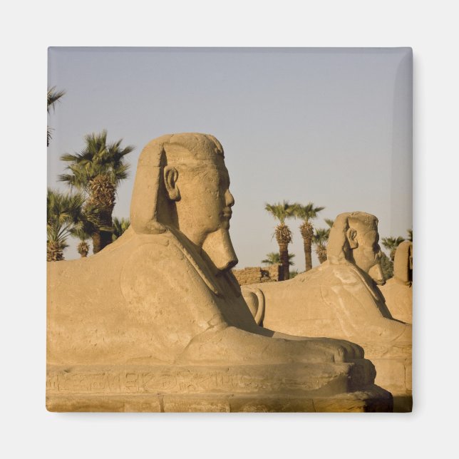 Aimant Égypte, Louxor. L'Allée des Sphinx mène à (Devant)