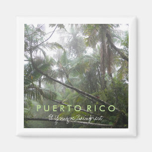 Aimant El Yunque, Porto Rico