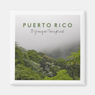 Aimant El Yunque, Porto Rico