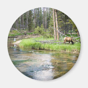 Aimant Élans par l'aimant de rivière