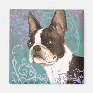 Aimant Élégant Boston Terrier
