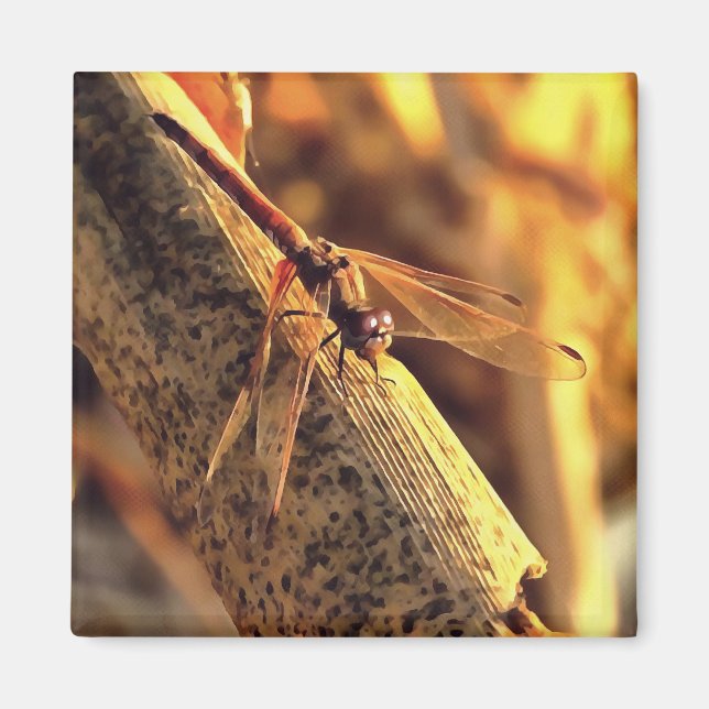 Aimant Elégant rouge Dessin de libellule Insect Art (Devant)