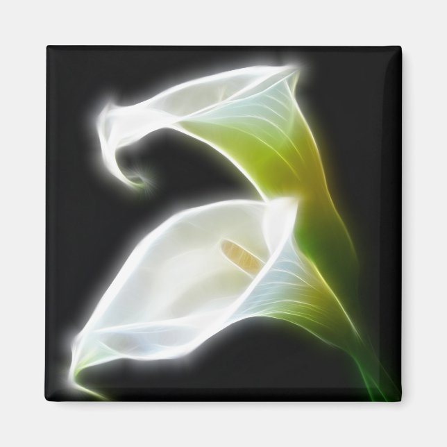 Aimant Elégante Calla Lily Fleurs 8 Moderne (Devant)