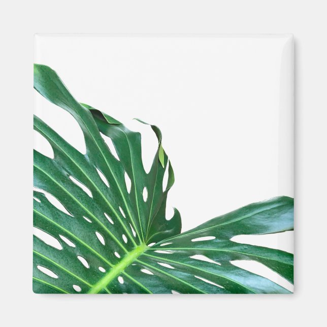 Aimant Elégante feuille de palmier tropicale jungle tropi (Devant)