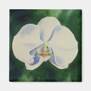 Aimant Elégante peinture d'orchidée blanche