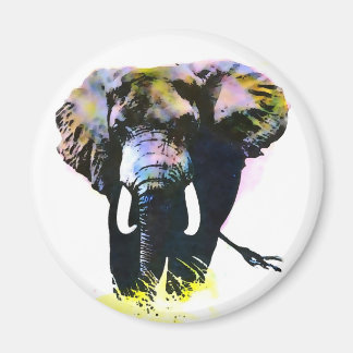 Aimant Eléphant