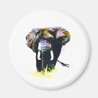 Aimant Eléphant